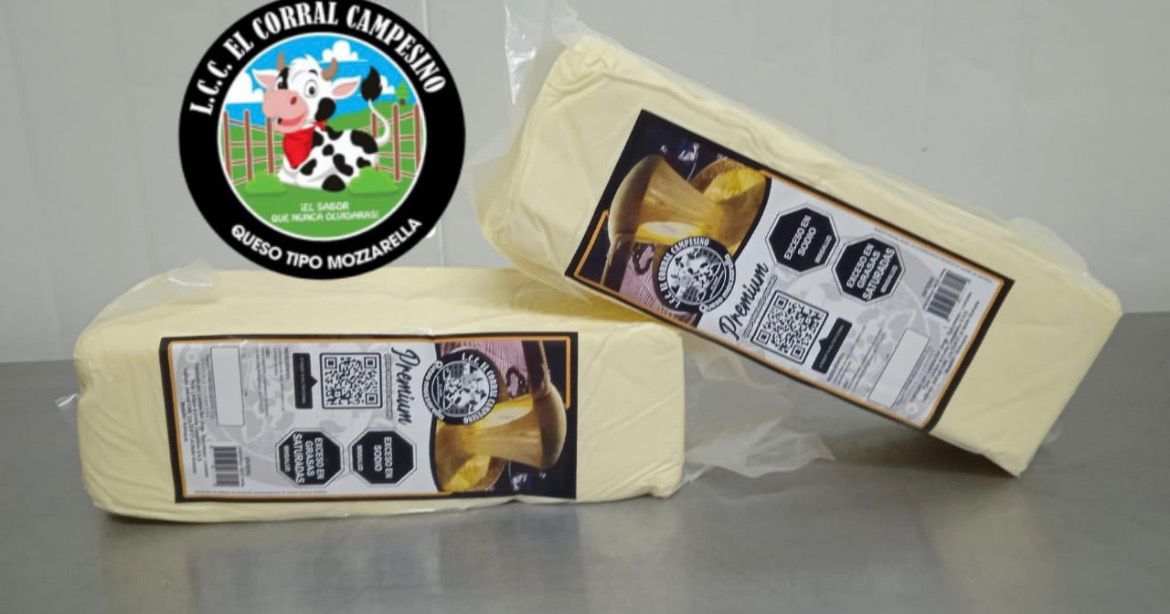 Queso Mozzarella Detalle